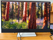Dell S 32 4K QD-OLED Monitor S3225QC picture