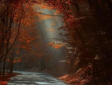 Landscape nature road forest red leaves fall sun rays Custom Gaming Mat Desk picture