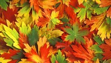 Landscape fall leaves Custom Gaming Mat Desk picture