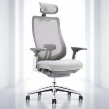 Ergonomic Mesh Office Chair High Back Executive Adjustable Headrest Light Grey picture