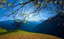 Landscape nature trees hills branch fall leaves Custom Gaming Mat Desk picture