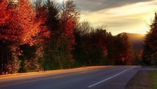 Landscape nature forest red leaves fall road Custom Gaming Mat Desk picture