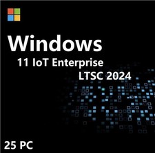 Windows 11 IoT Enterprise LTSC 2024 High End 25PC Use For Multiple Devices ✔ USB picture