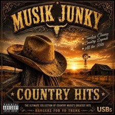64gb USB Thumb Drive Loaded With Country Hits In Mp3 Format picture