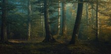 Landscape spring morning forest grass nature Custom Gaming Mat Desk picture