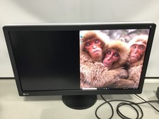 EIZO RadiForce RX850 Hi-Res 8 MP 31.3