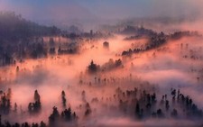 Landscape nature valley mist forest morning trees Custom Gaming Mat Desk picture