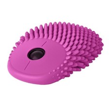 Hedgehog Hoglet Fidget Computer Mouse picture