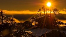 Landscape sun rays trees sunlight Custom Gaming Mat Desk picture