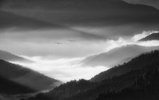 Landscape nature morning mist alps mountains forest Custom Gaming Mat Desk picture