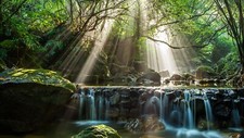 Landscape nature forest bamboo rocks water long exposure Custom Gaming Mat Desk picture