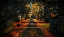 Landscape trees road nature fall Custom Gaming Mat Desk picture