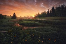 Landscape anton kononov field sunset clouds flowers Custom Gaming Mat Desk picture