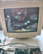 1995 Apple Multiple Scan 15