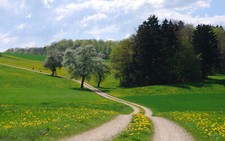 Landscape trees grass flowers clouds Custom Gaming Mat Desk picture