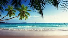 Landscape palm trees sea tropical Custom Gaming Mat Desk picture