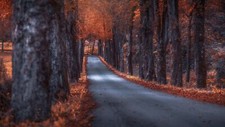 Landscape road fall Custom Gaming Mat Desk picture
