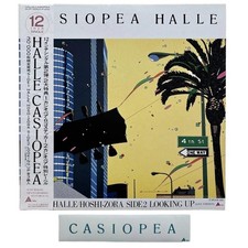 Casiopeia HALLE Cassiopeia Limited 12