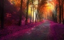 Landscape nature fall park trees colorful leaves hills Custom Gaming Mat Desk picture