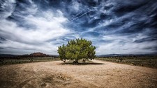 Landscape trees nature hills color correction plains Custom Gaming Mat Desk picture