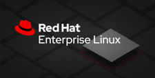 Red Hat Enterprise Linux RHEL 10.2 / 9 / 8 - USB Flash Drive picture