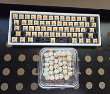 Cannon Keys Bakeneko60 w/ Holy Panda Switches picture