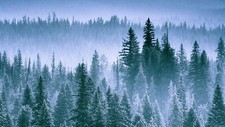 Landscape oregon smoky mountains trees nature Custom Gaming Mat Desk picture