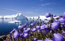 Landscape nordic s iceberg ice spring nature flowers Custom Gaming Mat Desk picture