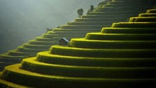 Landscape agro field hut rice terrace terraced Custom Gaming Mat Desk picture
