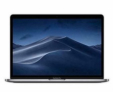 Apple 13