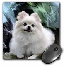 3dRose Pomeranian MousePad picture