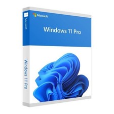Microsoft Windows 11 Pro OEM picture