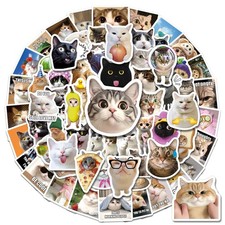 200 PCS Funny Cat Meme Stickers Pack picture