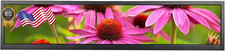 VSDISPLAY 24 Inch 1920x360 IPS Stretched Wide Bar Display for Gaming Marquee  picture