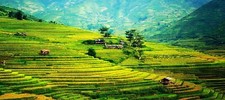 Landscape nature farm rice Custom Gaming Mat Desk picture