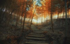 Landscape nature path fall stairs trees bamboo mist Custom Gaming Mat Desk picture