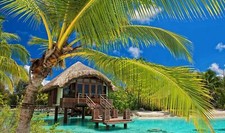 Landscape palm trees resort beach tropical water Custom Gaming Mat Desk picture