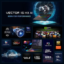 MSI Vector 16