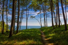 Landscape forest path sea trees germany green blue coast Custom Gaming Mat Desk picture