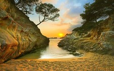 Landscape nature beach sand trees rocks coast Custom Gaming Mat Desk picture