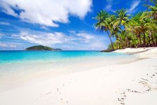 Landscape tropical beach palm trees Custom Gaming Mat Desk picture