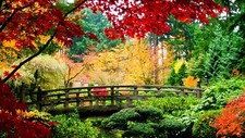 Landscape park plants fall leaves colorful bridge Custom Gaming Mat Desk picture