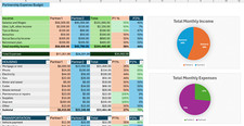 Roommates | Partners | Divorce Excel Budget | Domestic Partners - Digital picture