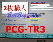 (1GB RAM) 1x1G MicroDIMM 172PIN PC2700 DDR-333 DDR333 SONY PANASONIC FUJITSU h μ picture