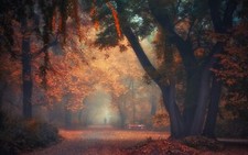 Landscape nature park trees fall mist morning walking Custom Gaming Mat Desk picture