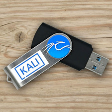 Kali Linux Bootable USB Flash Drive picture