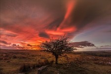 Landscape clouds trees plains skyscape orange sky sunset Custom Gaming Mat Desk picture