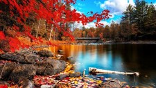 Landscape fall leaves nature Custom Gaming Mat Desk picture