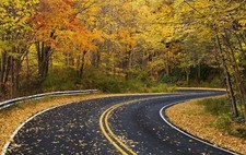 Landscape road fall forest fallen leaves yellow Custom Gaming Mat Desk picture