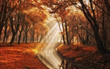 Landscape nature fall trees canal sun rays mist leaves Custom Gaming Mat Desk picture
